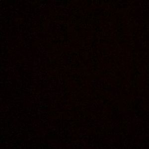 Meet your Posher, Ben